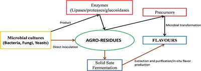 Prospecting the Potential of Agroresidues as Substrate for Microbial Flavor Production